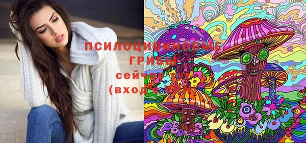 ГАЛЛЮЦИНОГЕННЫЕ ГРИБЫ Алексин
