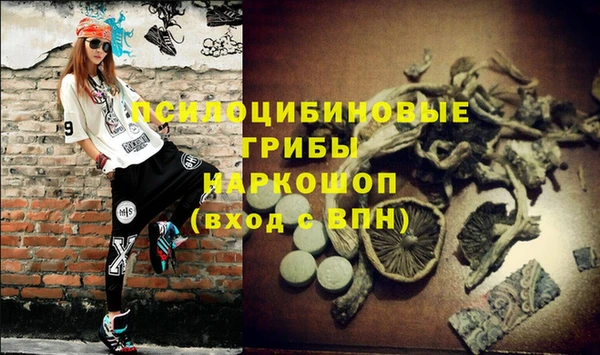 PSILOCYBIN Алексеевка