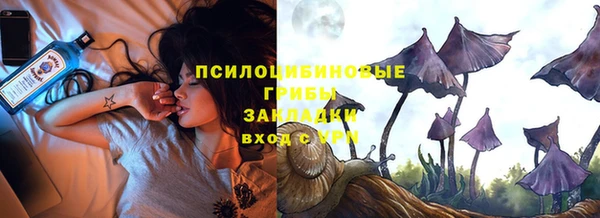 PSILOCYBIN Алексеевка