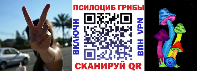 Галлюциногенные грибы мухоморы  Кашин 